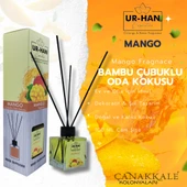MANGO Bambu Çubuklu Oda Kokusu 100 ML Cam Şişe thumbnail 1