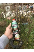 Kamp Gazı 227gr 400ml thumbnail 2