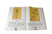 Piri Reis Kitab-ı Bahriye thumbnail 4