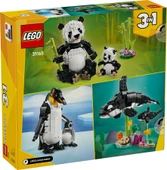 LEGO-31165 Creator Vahşi Hayvanlar: Panda Ailesi thumbnail 7