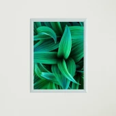 Yapraklar Çerçeveli Poster Tablo thumbnail 3