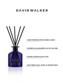 David Walker FAME Ortam Kokusu thumbnail 2