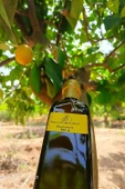 Limon Sarımsak Kürü Maydanozlu 500 ml thumbnail 3