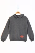 Toontoy Kız Çocuk Reglan Kol Sweatshirt thumbnail 6