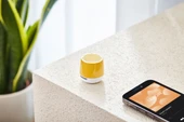 Lexon x Pantone Mino + Bluetooth Hoparlör Sarı thumbnail 2
