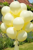 Beysüs Sarı Makaron Balon 20 adet 12inç thumbnail 7
