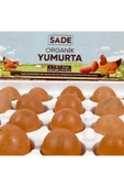 Sade Organik 30'lu Yumurta thumbnail 3