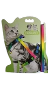 Kedi Gezdirme Seti thumbnail 1