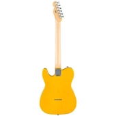 Fender Standard Tele MN BPG BTB Elektro Gitar thumbnail 2