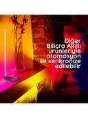 BILICRA LOCATE AKILLI LAMBADER 60 CM thumbnail 3