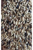 Süper Karışık Kanarya Yemi 1 Kg thumbnail 1