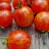 Süpernova Cherry Domates Tohumu(15 tohum) thumbnail 2