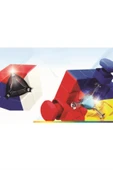 Moyu Nexcube Speed 3x3 + 2x2 Classic Set thumbnail 5