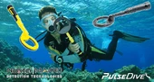 Pulsedive Pointer thumbnail 3