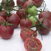 Çikolata Cherry Domates Tohumu (15 tohum) thumbnail 2