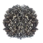 Beta Tea Yeşil Çay 1000 gram (B.864) thumbnail 2