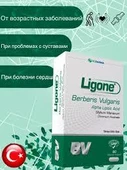 Ligone Berberis Vulgaris 60 Kapsül thumbnail 3