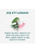 Orecare Bitkisel Diş Macunu Organik thumbnail 2