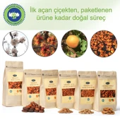 Gülaslan Organik Tatlı Kayısı Çekirdeği thumbnail 4