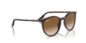 RAY-BAN 0RB2204 902-51 54 thumbnail 4