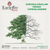 LORDFER SPECIAL 5 LİTRE thumbnail 1