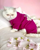 Foxie Polar Kedi Tulum Pijama thumbnail 4