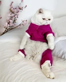 Foxie Polar Kedi Tulum Pijama thumbnail 1