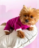 Foxie Polar Köpek Tulum Pijama thumbnail 11