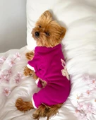 Foxie Polar Köpek Tulum Pijama thumbnail 6