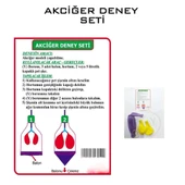 basit akciğer deney seti thumbnail 2