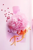 LANCOME Miracle Edp 50 ml Kadın Parfüm 3147758029390 thumbnail 4