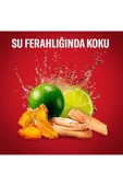 Old Spice OLDSPICE STİCK 50ML WHITE WATER*6 thumbnail 5