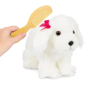 Pucci Pups Maltese thumbnail 3