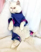 Monogram Purp Polar Kedi Tulum Pijama thumbnail 1
