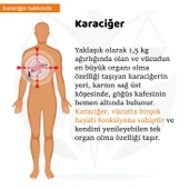 KARACİĞER Sargı Bezi +100 ML HİNT YAĞI (HEXANSIZ) thumbnail 4
