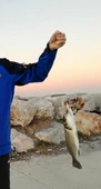 Fujin Tiny Popper Mini LRF Popper thumbnail 2