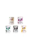JOYWAX Konserve Sir Agda 800ml 5 Çeşit thumbnail 1