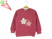 Kız Çocuk Sweatshirt Yıldız Baskılı thumbnail 7