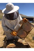 Bal Bal KARAKOVAN BAL thumbnail 3