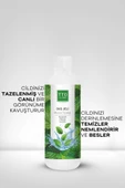 TTO CLINIC Duş Jeli - Mentol Tazeliği 500 ML thumbnail 4