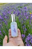 ALLBİO LAVANTA SUYU TONİK 100 ML thumbnail 2