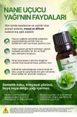 Nane Yağı / 10 ml (Tıbbi) thumbnail 4