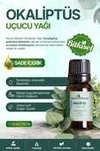 Okaliptüs Yağı / 10 ml thumbnail 1