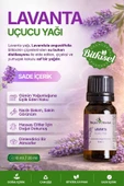 Lavanta Yağı (Angustofolia) / 10 ml thumbnail 1