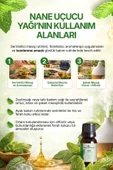 Nane Yağı / 10 ml (Tıbbi) thumbnail 2