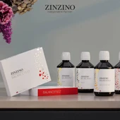 Zinzino Balance Test thumbnail 4
