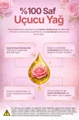 Gül Yağı (Rosa Damascena) / 1 ml thumbnail 4