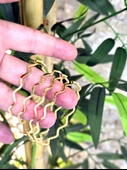 22 Ayar 10 Gram ZigZag Bilezik thumbnail 2