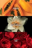 AVON Passion Dance Kadın Parfüm Edt 50 Ml. thumbnail 3