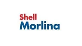 SHELL MORLİNA S2 BL 5 - BİDON 20 LİTRE - ISO VG 5 thumbnail 2